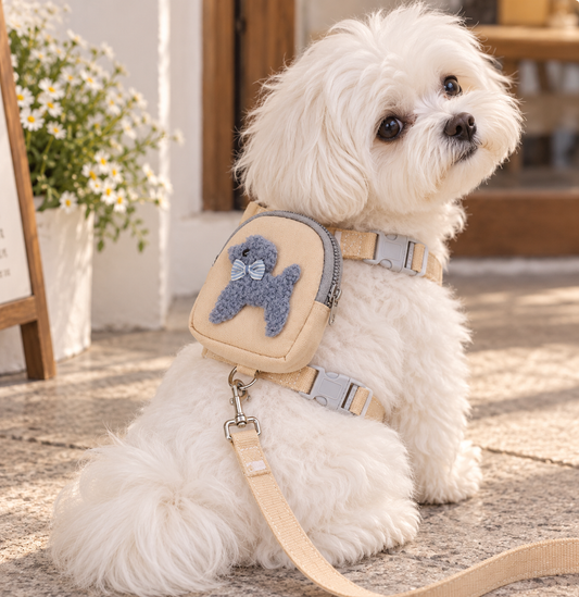 Mini Adventure Backpack with Leash